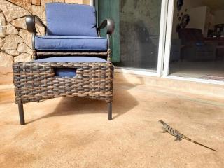 Joyol Ha 107, Lagoon view, 3-min walk to Beach - 5