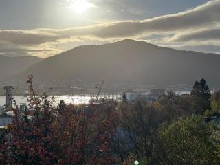 Aurora Panorama - 3