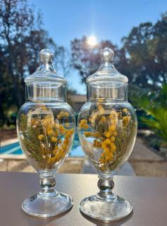 Villa Mimosa - 1