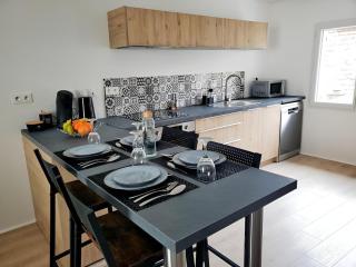 La Petite traversière - Chartres - 7