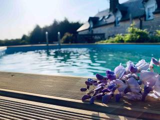 Le Cocon de la Mare - 8