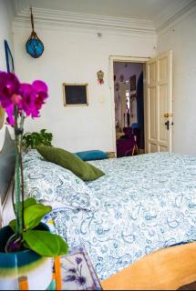 Lovely cozy & spacious room in heart of Condesa - 7