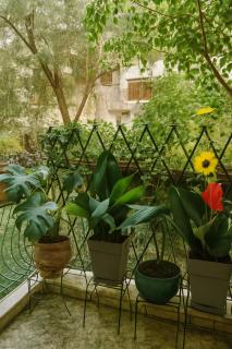 Katerina's house - Hilton area - 1