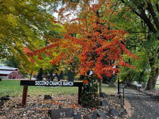 Loft at 2nd Chance Ranch - 5