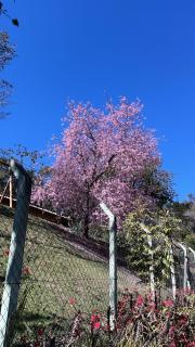 Chácara nas Montanhas - 7