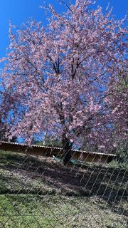 Chácara nas Montanhas - 6