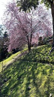 Chácara nas Montanhas - 1