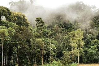 Chalé Alecrim Pedra Azul - 8