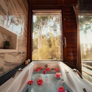 Chalé Alecrim Pedra Azul - 0