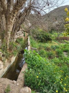 Finca Ana Maria - Maisons d'hôtes rurales avec piscine, au coeur de l'Andalousie et proches de la mer - 6