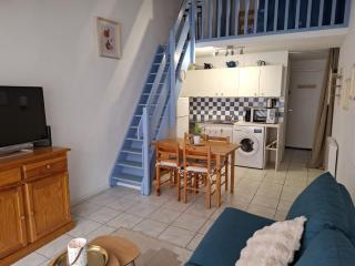 Appartement T2 entre mer et lac - 1