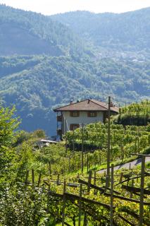 Agriturismo ValFraja - 6