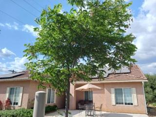 The Gathering Spot-6 miles from Sequoia Nlt'l Park - 8