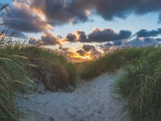 Seaside Bliss in Houstrup-By Traum - 7