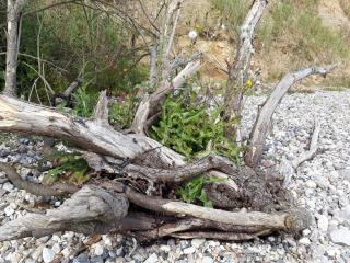 6 person holiday home in Haderslev-By Traum - 1