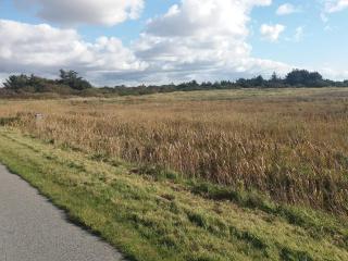 5 person holiday home in Ringkøbing-By Traum - 2