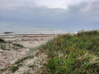 Luxury Retreat by the Sea - By Traum Ferienwohnungen - 5