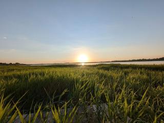 8 person holiday home in Hejls-By Traum - 4