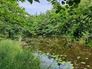 10 person holiday home in Ålbæk-By Traum - 1