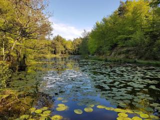10 person holiday home in Ålbæk-By Traum - 1