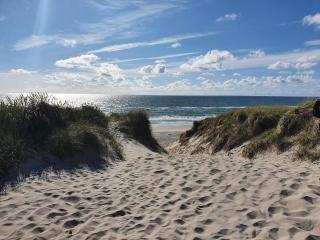 8 person holiday home in Ringkøbing-By Traum - 6