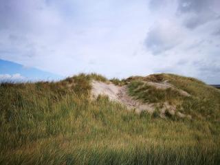 8 person holiday home in Hjørring-By Traum - 2