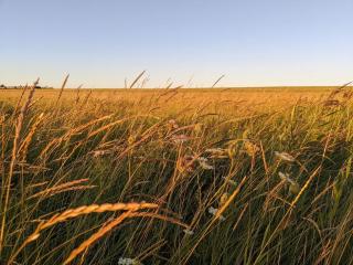 Modern Seaside Retreat - By Traum Ferienwohnungen - 1