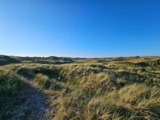Cozy Dune Retreat near Sea - By Traum Ferienwohnungen - 3