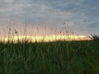 Modern Seaside Retreat - By Traum Ferienwohnungen - 3