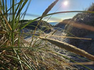 Cozy Dune Retreat near Sea - By Traum Ferienwohnungen - 6