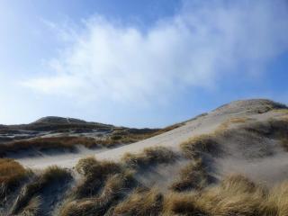 Cozy Dune Retreat near Sea - By Traum Ferienwohnungen - 3