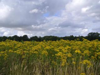 Beachfront Bliss in Hejlsminde - By Traum Ferienwohnungen - 2