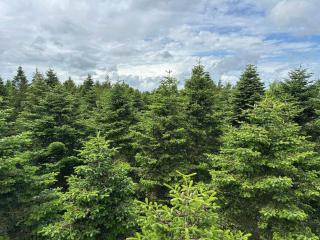 5 person holiday home in Hovborg-By Traum - 4