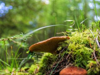 5 person holiday home in Hovborg-By Traum - 3