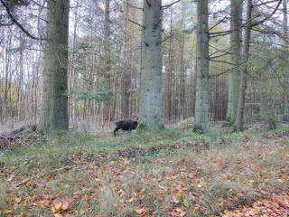 6 person holiday home in Hovborg-By Traum - 1