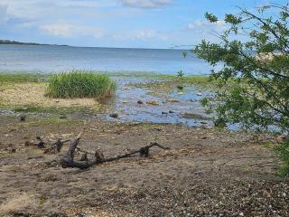 8 person holiday home in Aabenraa - 4