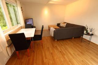 Close to city center, 1.2 km, 1-bedroom, nice view - 6