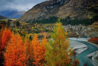 Gallerie Coronet - 2