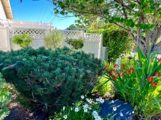 Warm and Inviting - 7