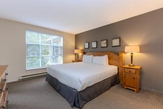 The Snowbird by Whiski Jack - 1