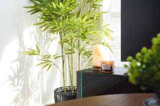 Zetland Zen Japanese Haven by Dining Transport - 3