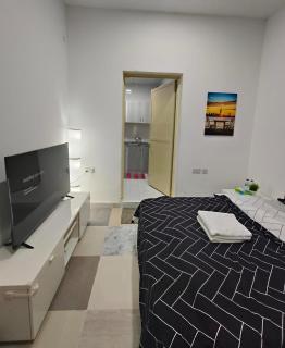 Studio Type - Attached Bathroom & Kitchen - 1