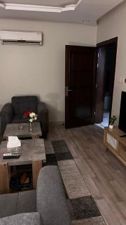 Apartment, room, elegant and comfortable hall, and smart entrance - 8