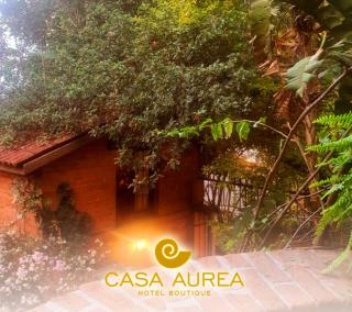 Casa Aurea Hotel Boutique - 7