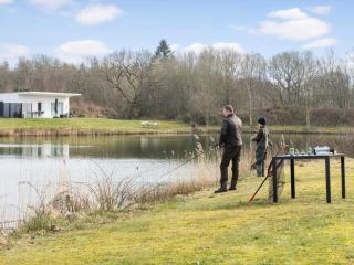 4 star holiday home in Ringkøbing - 6