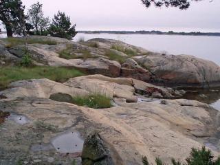 Historic Country Home in Alberga - 3