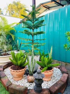 Sunshine bungalow - 8