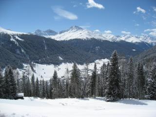 New renovated apartment in center of Davos - Davos - 7