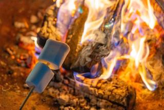 Gapyeong the Bay Resort - 5