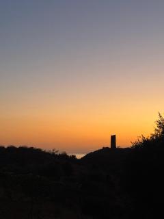 El Oasis de los Jarales - 1